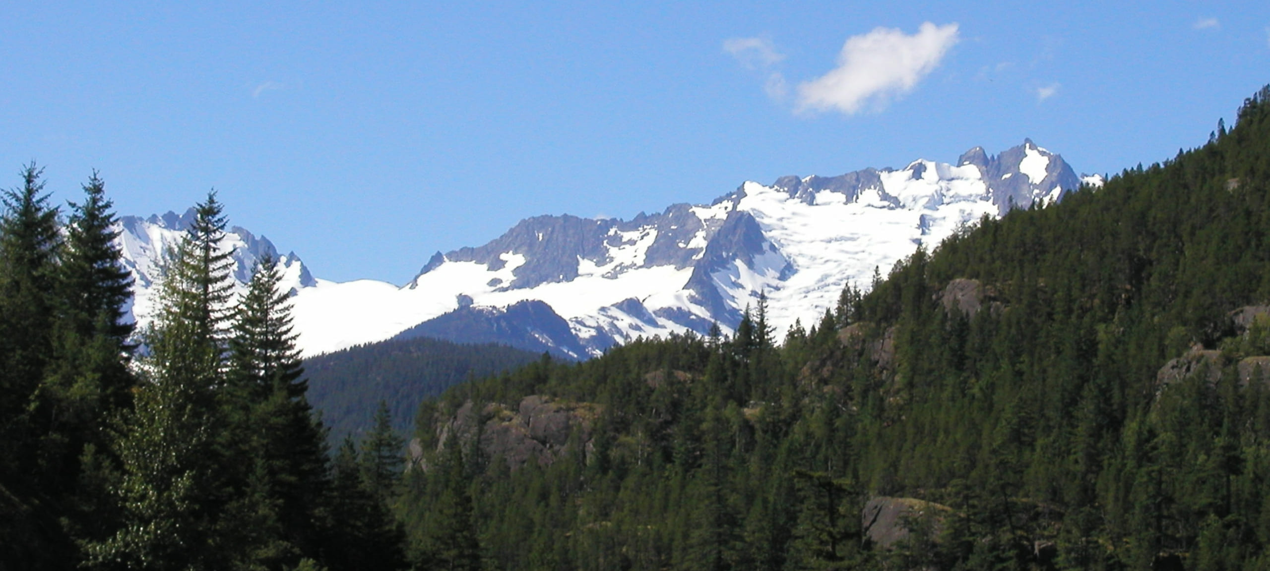 Tantalus Homes & Condos - MLS Listings For Sale
